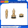 HOT China Cheap Tire Pressure Gauge Valve Caps